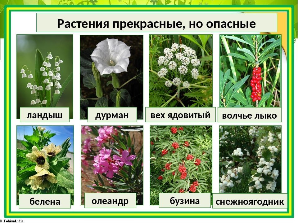 IMG_6825.jpeg